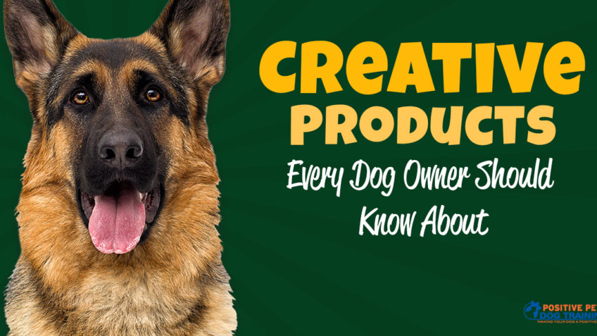 Creative Items Every Dog Owner Should Know About