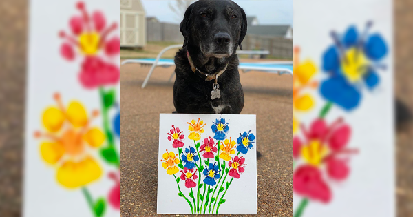 Paw Print Wall Art